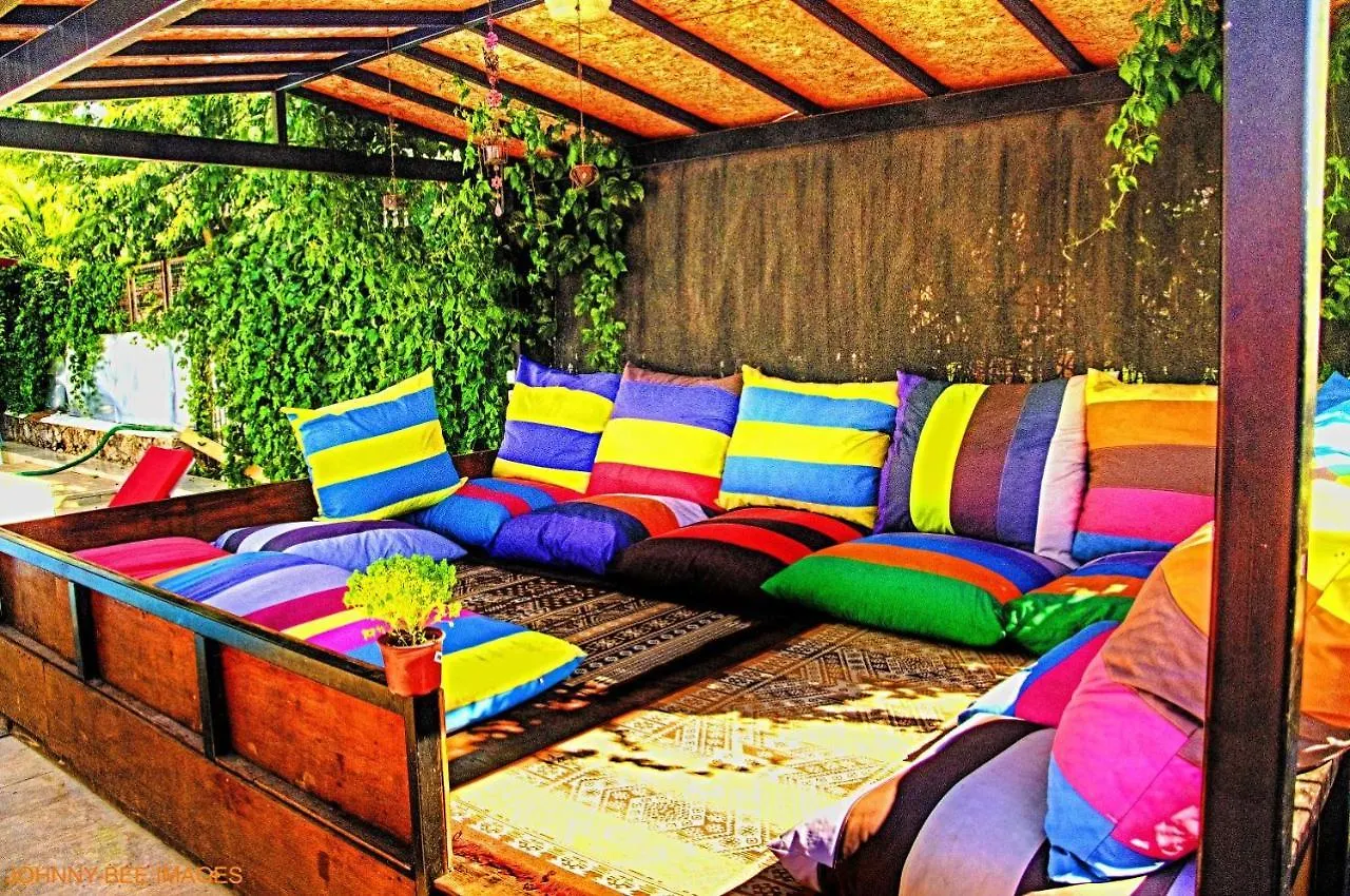 Paddys Apartments Ovacik Ölüdeniz